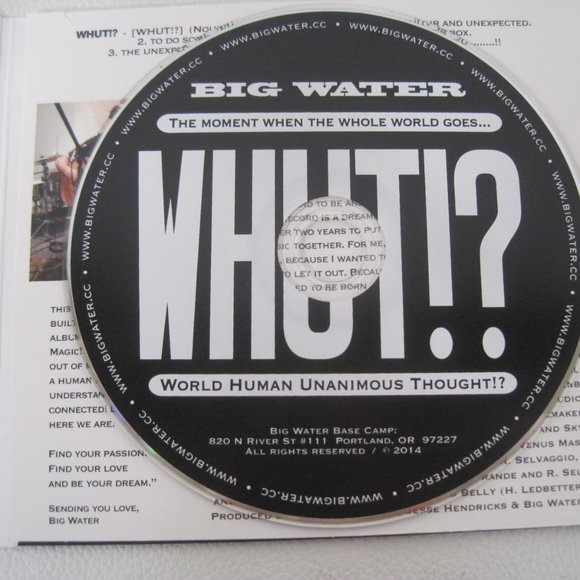 BIG WATER: THE MOMENT WHEN THE WHOLE WORLD GOES... WHUT!? WORLD HUMAN UNANIMOUS - Picture 6 of 7